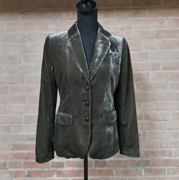 Banana Republic | Amazing Crushed Velvet Blazer - Picture 8 of 8
